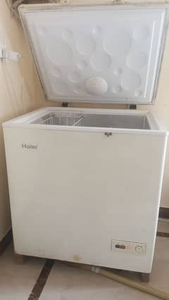 Haier freezer single door