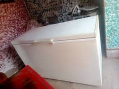 Waves Big Size Single Door Deep Freezer