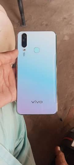 Vivo