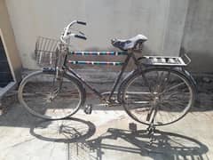 Sohrab Company Cycle 0