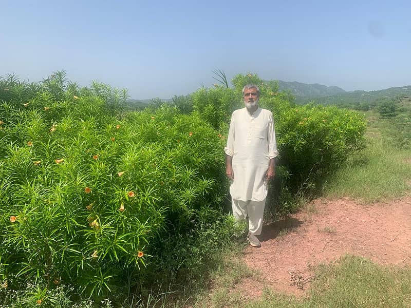 Agricultural Land for Sale in Attock, Punjab, Pakistan 0