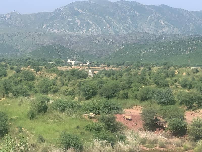 Agricultural Land for Sale in Attock, Punjab, Pakistan 3