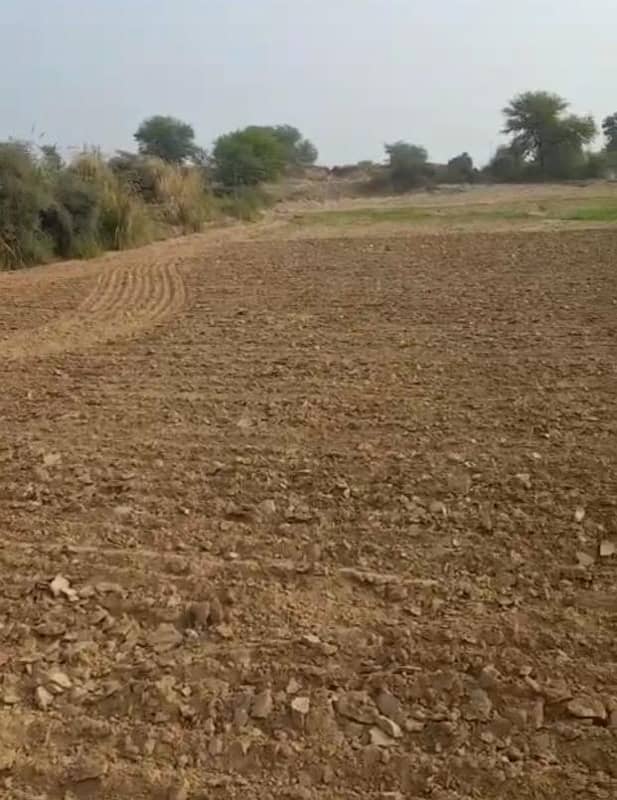 Agricultural Land for Sale in Attock, Punjab, Pakistan 20