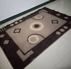 lounge carpet for sale in a reasonable price