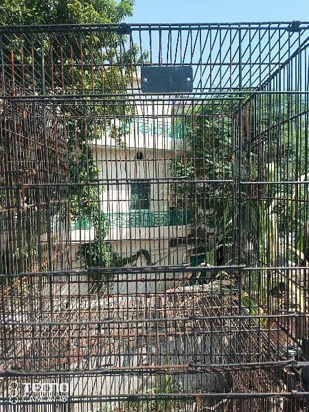 Breeding Cages for Love Birds, Budgies and other Small Birds 1