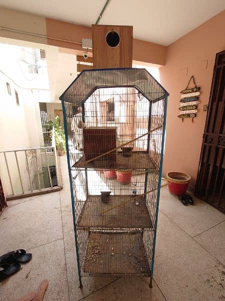 cage for love bird or bajri 2