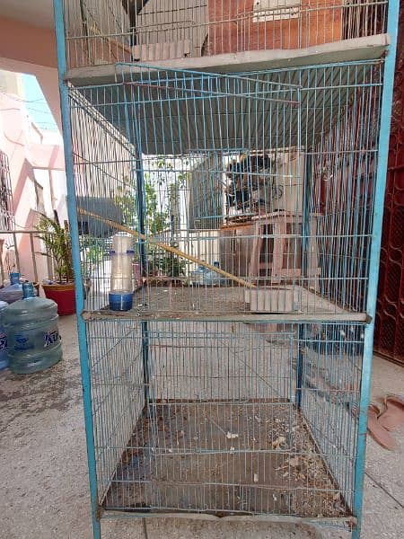 cage for love bird or bajri 3