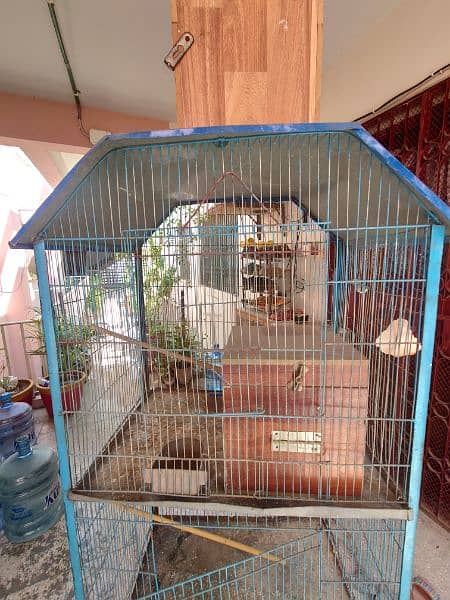 cage for love bird or bajri 4