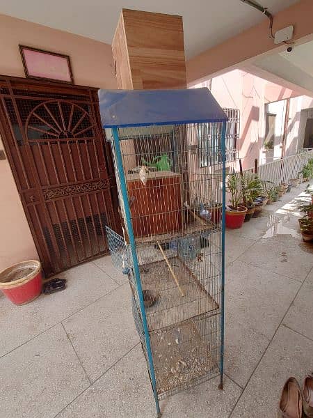 cage for love bird or bajri 5