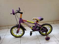 Kids Tricycle in Metal Body and New Condition 0