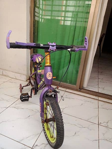 Kids Tricycle in Metal Body and New Condition 2