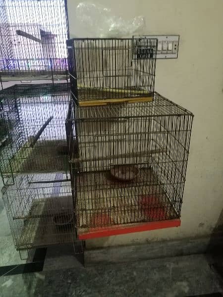 all cage for sale 1