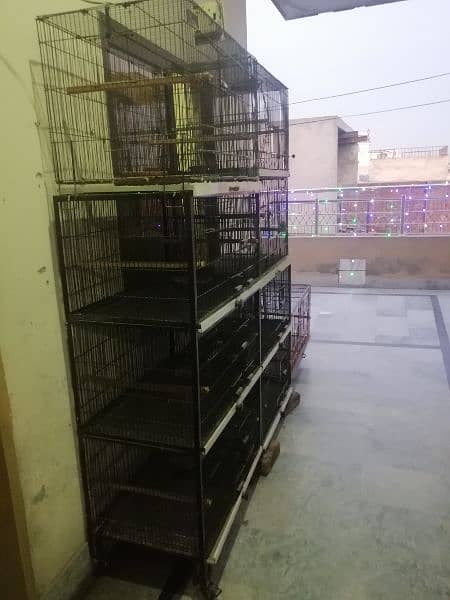 all cage for sale 2