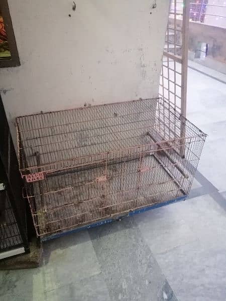 all cage for sale 3