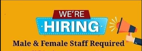 Male and female office staff E11 Markaz