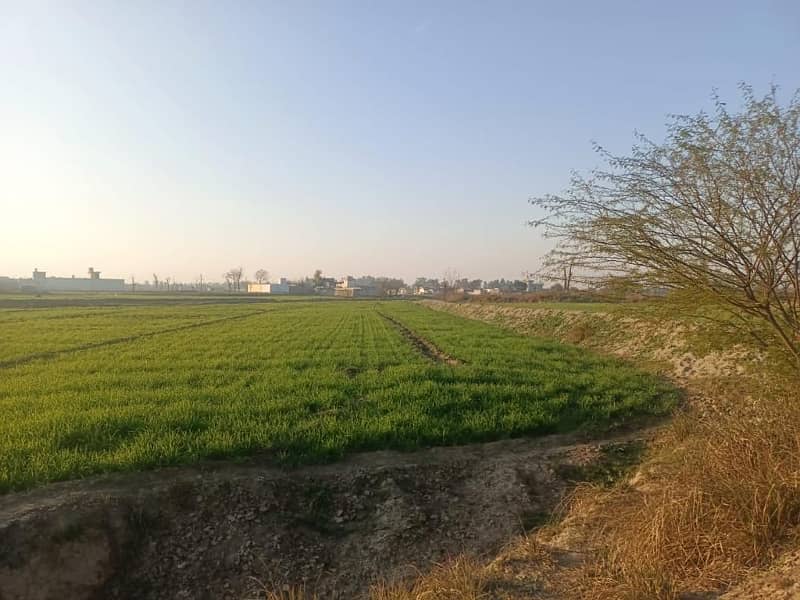 Agricultural Land for Sale in Hazro ,(Mansar) ,District Attock, Punjab, Pakistan 19