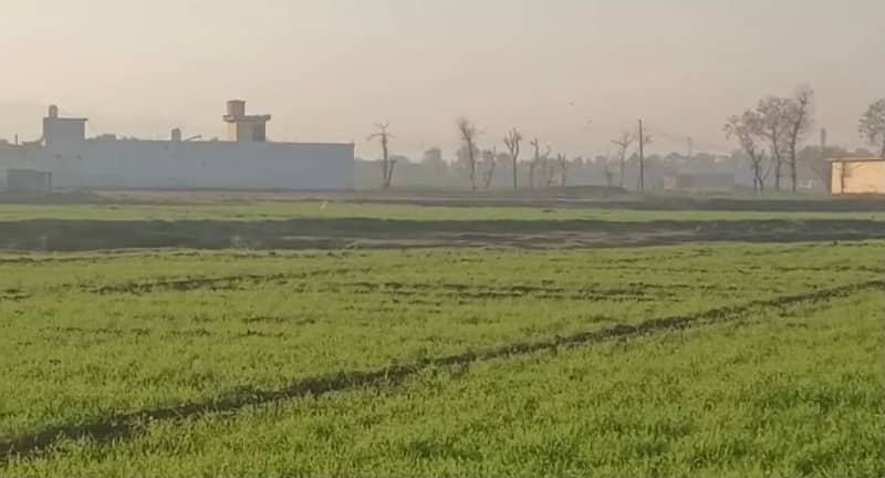 Agricultural Land for Sale in Hazro ,(Mansar) ,District Attock, Punjab, Pakistan 33