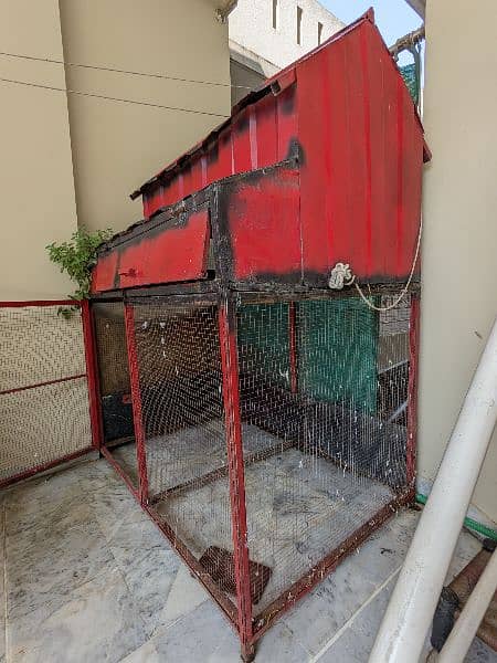 Bird Cage 2