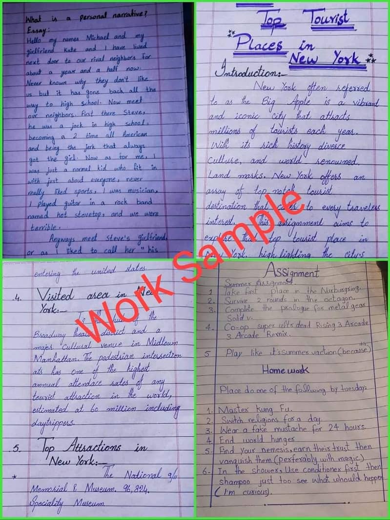 I want description about me as handwriting assignment writer 5