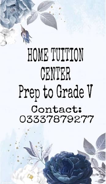 Home/Online tuition For juniors Prep to Grade V 0