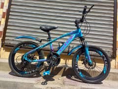 20" PLUS MOUNTAIN BIKE