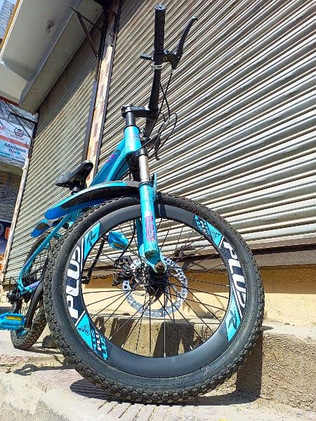 20" PLUS MOUNTAIN BIKE 1