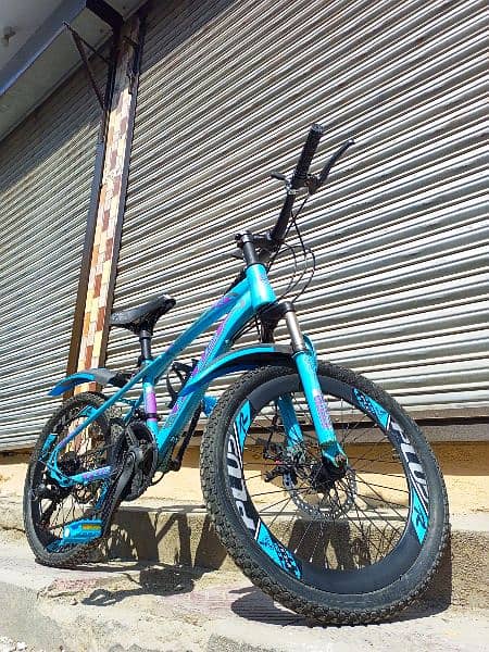 20" PLUS MOUNTAIN BIKE 5