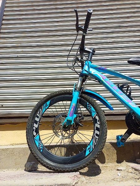 20" PLUS MOUNTAIN BIKE 10