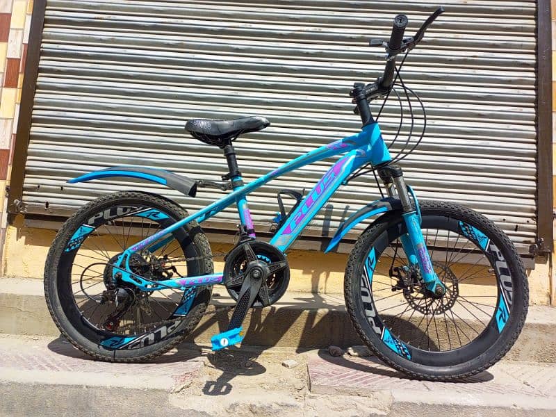 20" PLUS MOUNTAIN BIKE 12