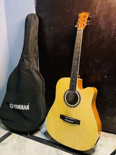 branded semi acoustic guitar root tree brand new condition