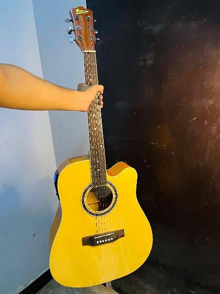 branded semi acoustic guitar root tree brand new condition 4