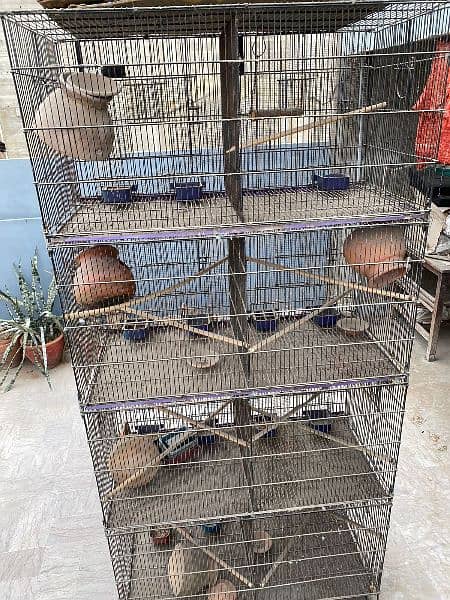 4 Portions Cage For Sale With Equipment 2