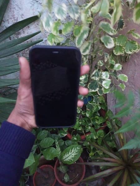 Iphone 12 64 Gb All Oky 2