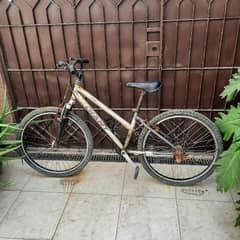 Giant Adult  S size Bicycle for Sale 0