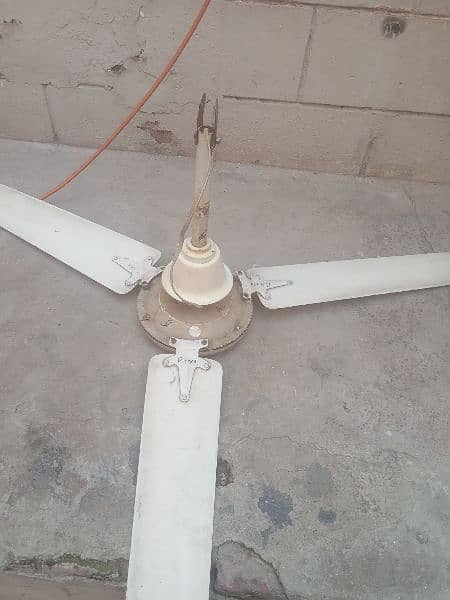 Ceiling Fan for sale 4