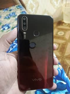 Vivo