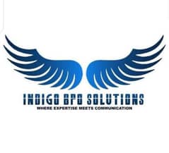 indigo bpo solution 0