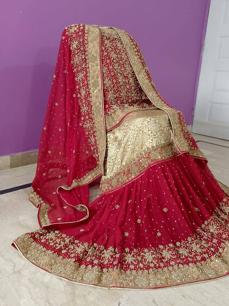 Bridal Dress (Lehnga with Dupatta) 7