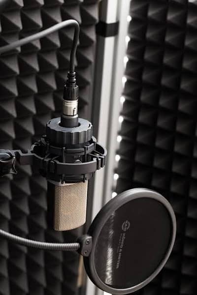 Akg c214 Studio Condenser mic 1