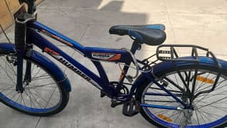 Mountain bicycle for sale