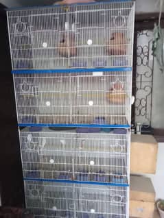 Good condition cage urgent sale