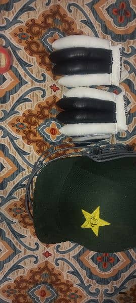 Cricket full kit 2