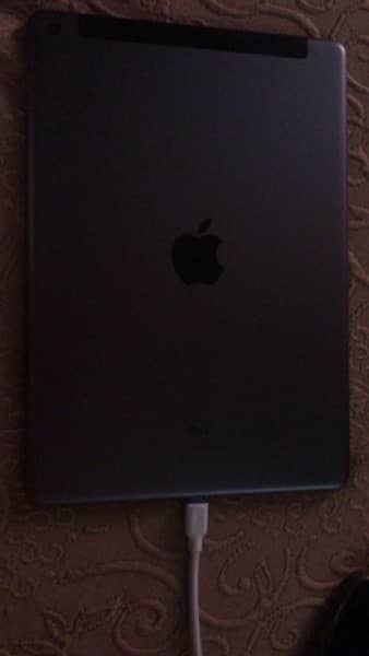 Apple IPad 7th generation cellular and Wi-Fi 3