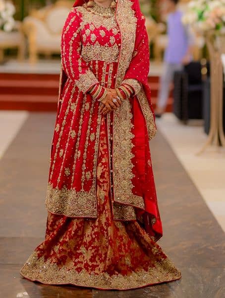 Bridal Sharara 1