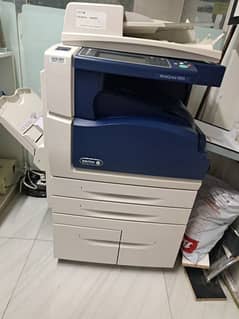 xerox5955