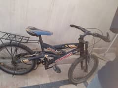 cycle sai ha bot