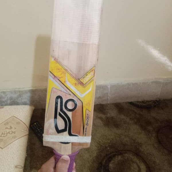 cricket bat 1