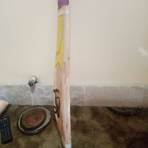 cricket bat 3