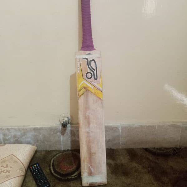 cricket bat 4