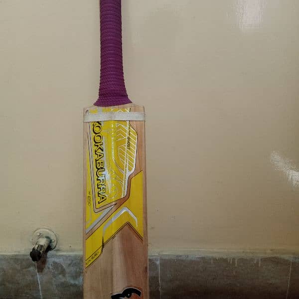 cricket bat 7